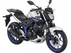 2015 Yamaha MT 25